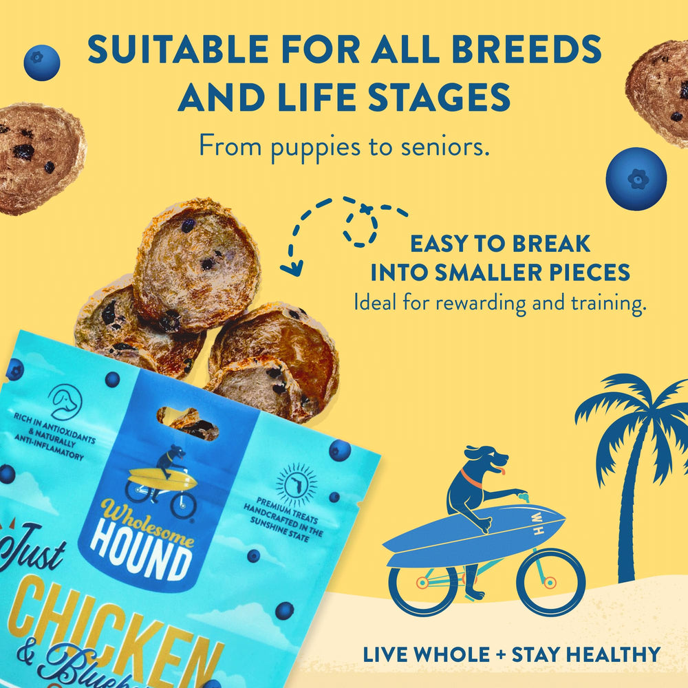 Wholesome Hound chips for dogs of all sizes during play.