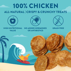 Wholesome Hound Chicken Chips closeup highlighting lean protein texture