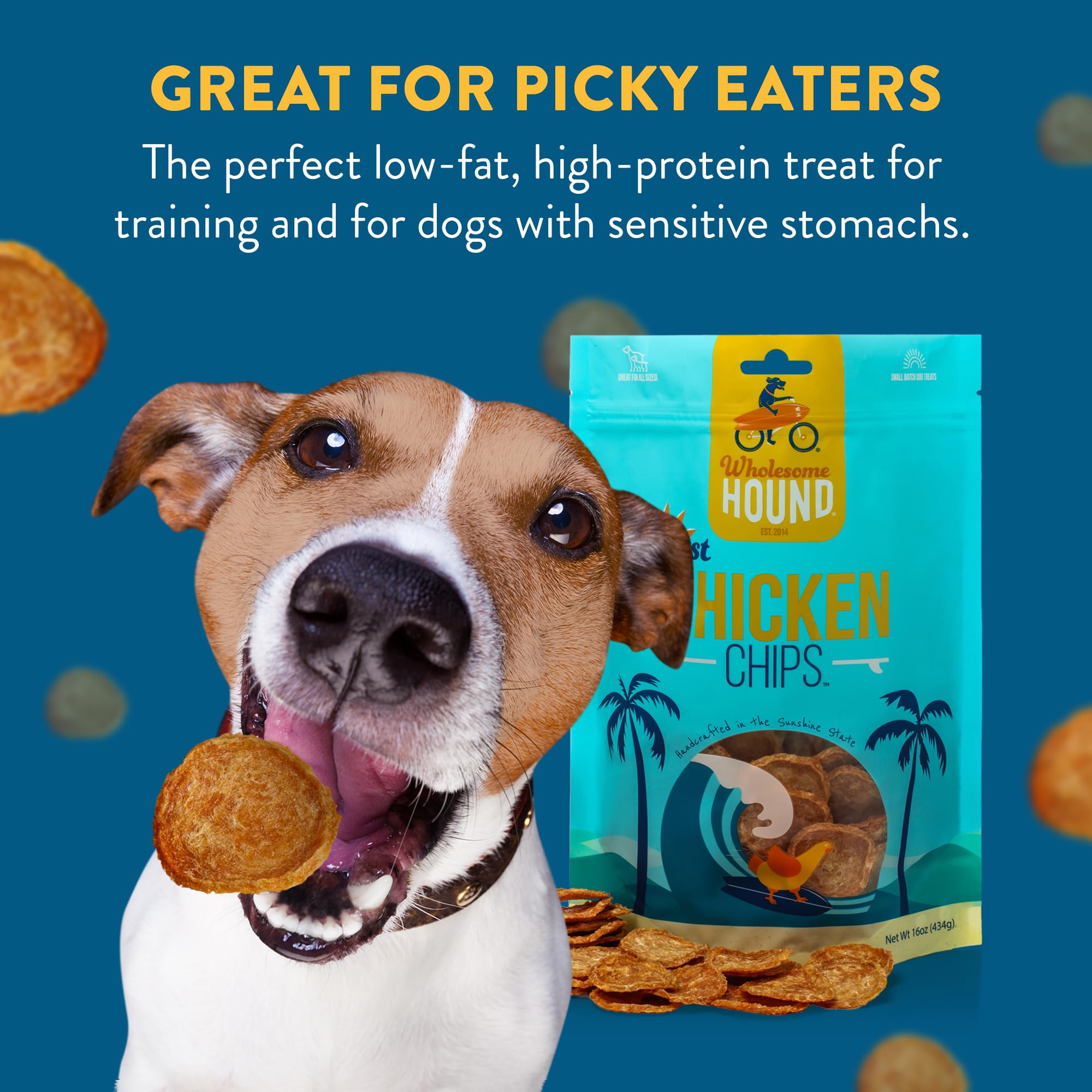 Wholesome Hound Chicken Chips USA-made production in Naples, Florida