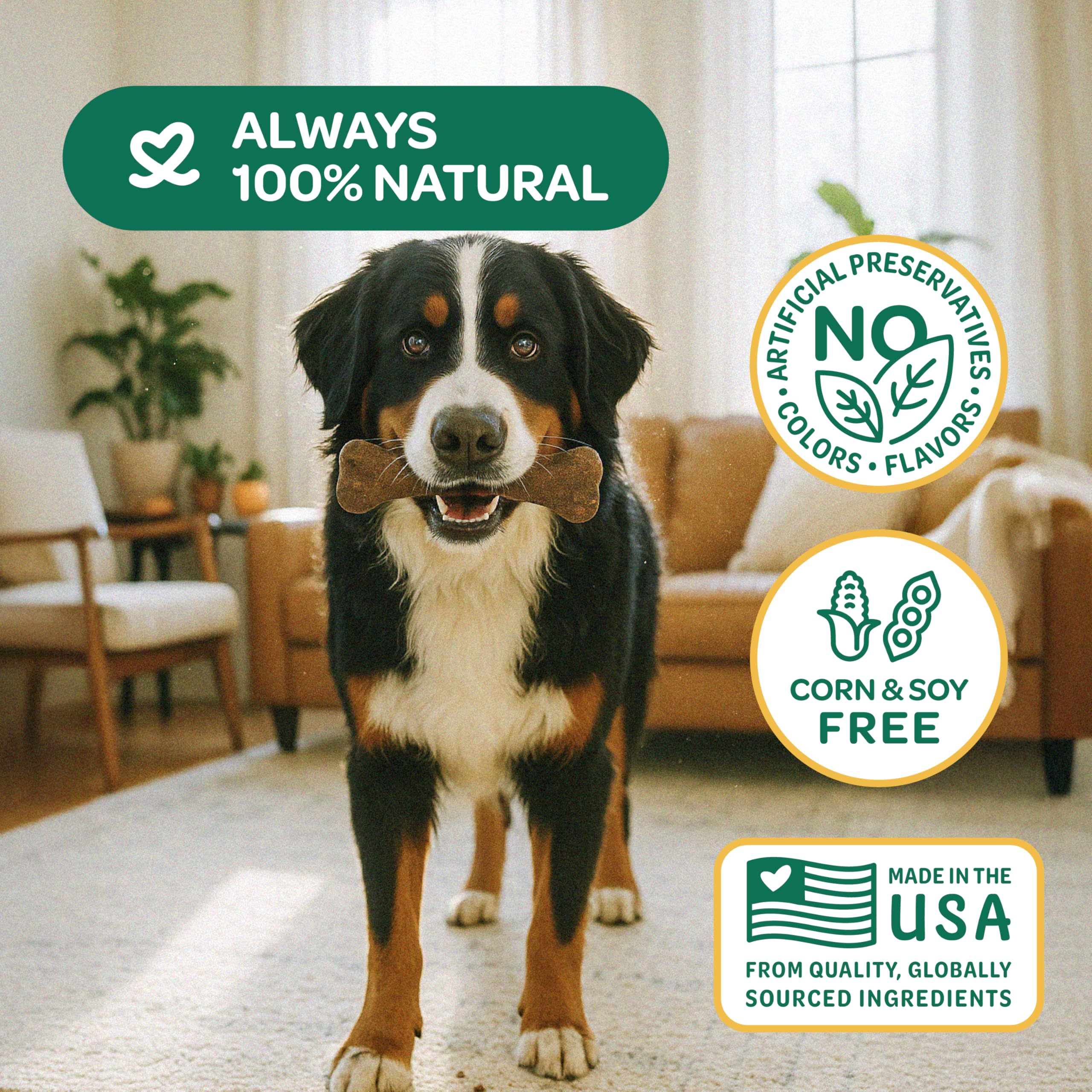 Wholesome Pride limited-ingredients pumpkin chews emphasize simple, natural nutrition.