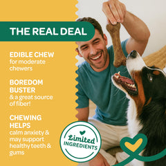Wholesome Pride natural pumpkin flavor chews for tasty, digestible daily treats.