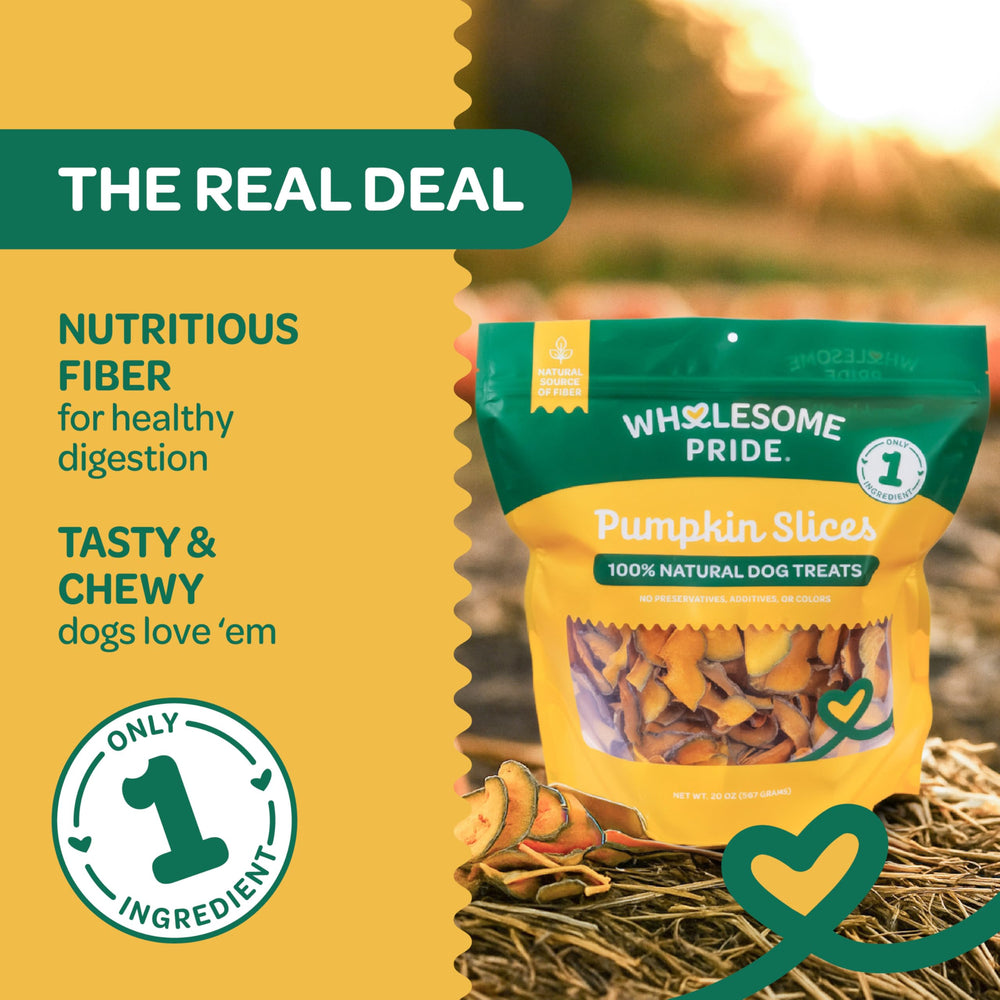 Wholesome Pride Dehydrated Pumpkin Slices close up highlighting natural texture and fiber.
