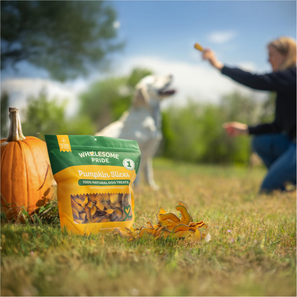 Wholesome Pride Pumpkin Slices on countertop highlight simple single ingredient snack.