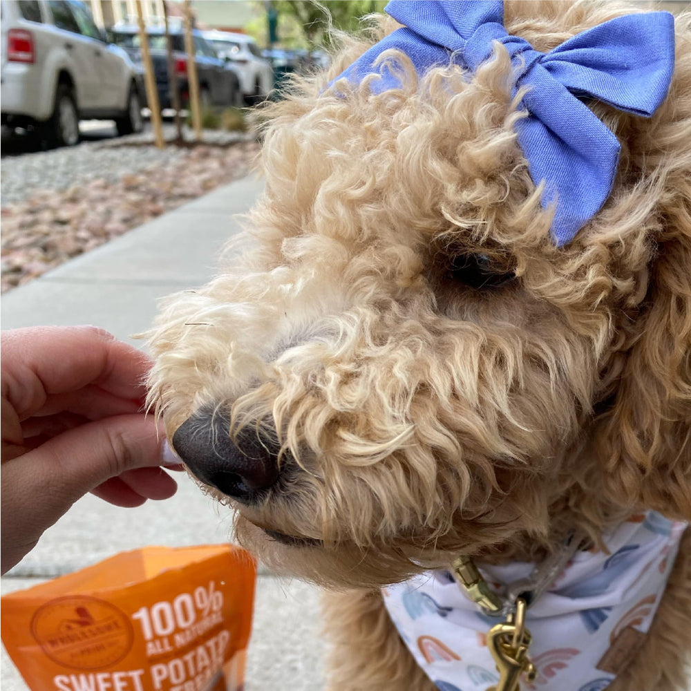 Wholesome Pride Sweet Potato Bites bite-size variety in each bag