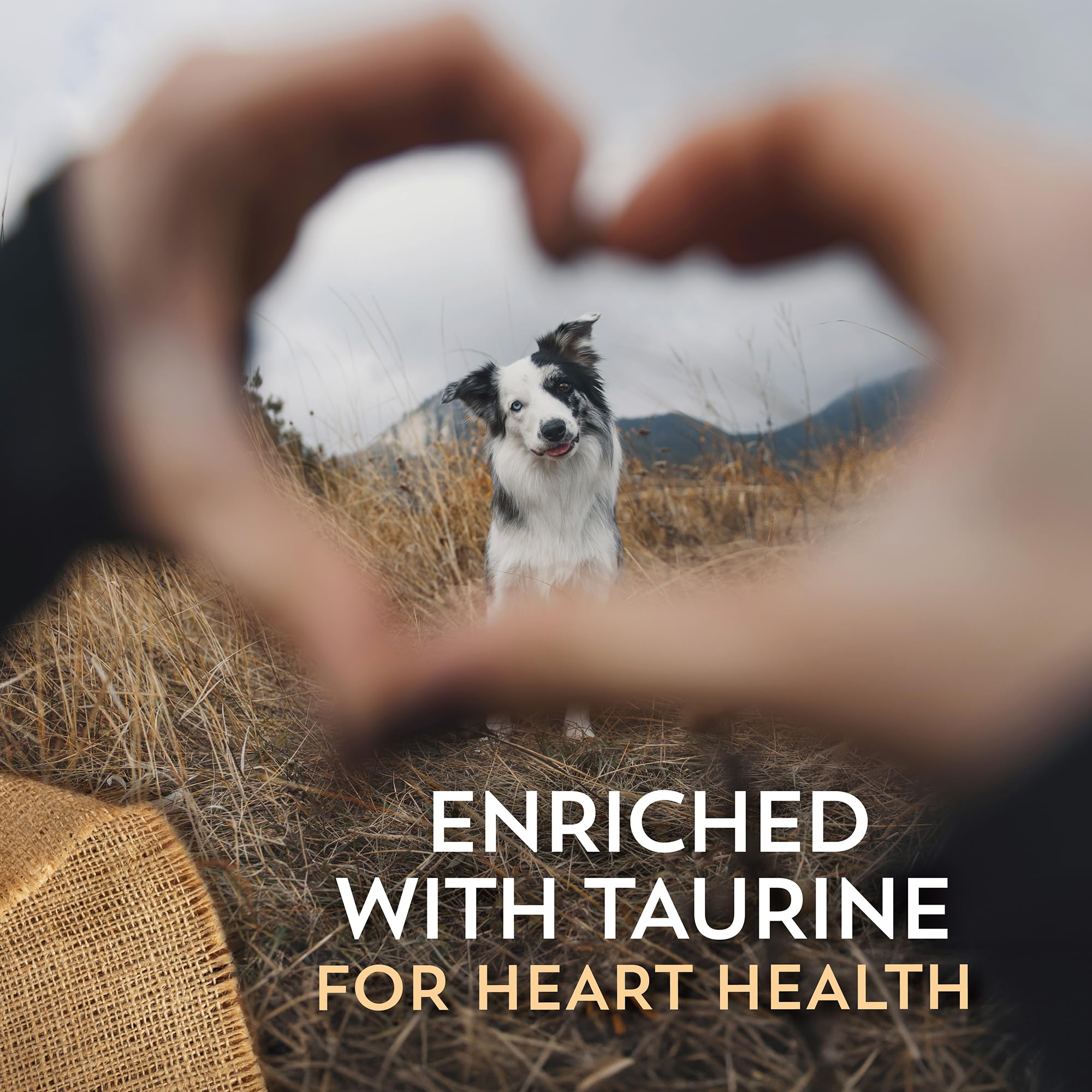 Wholesomes omega fatty acids graphic emphasizes healthy skin and coat.