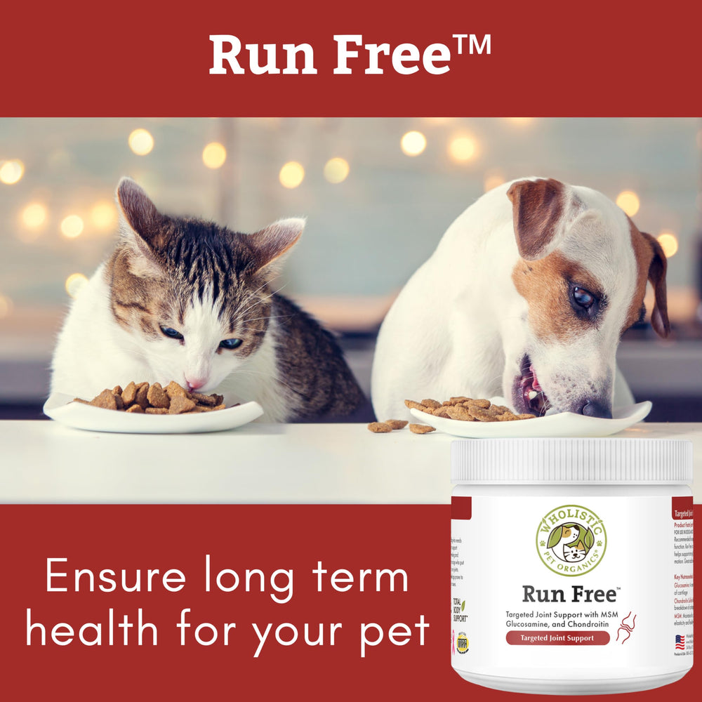 113 scoops per container shown for long-lasting pet supply.