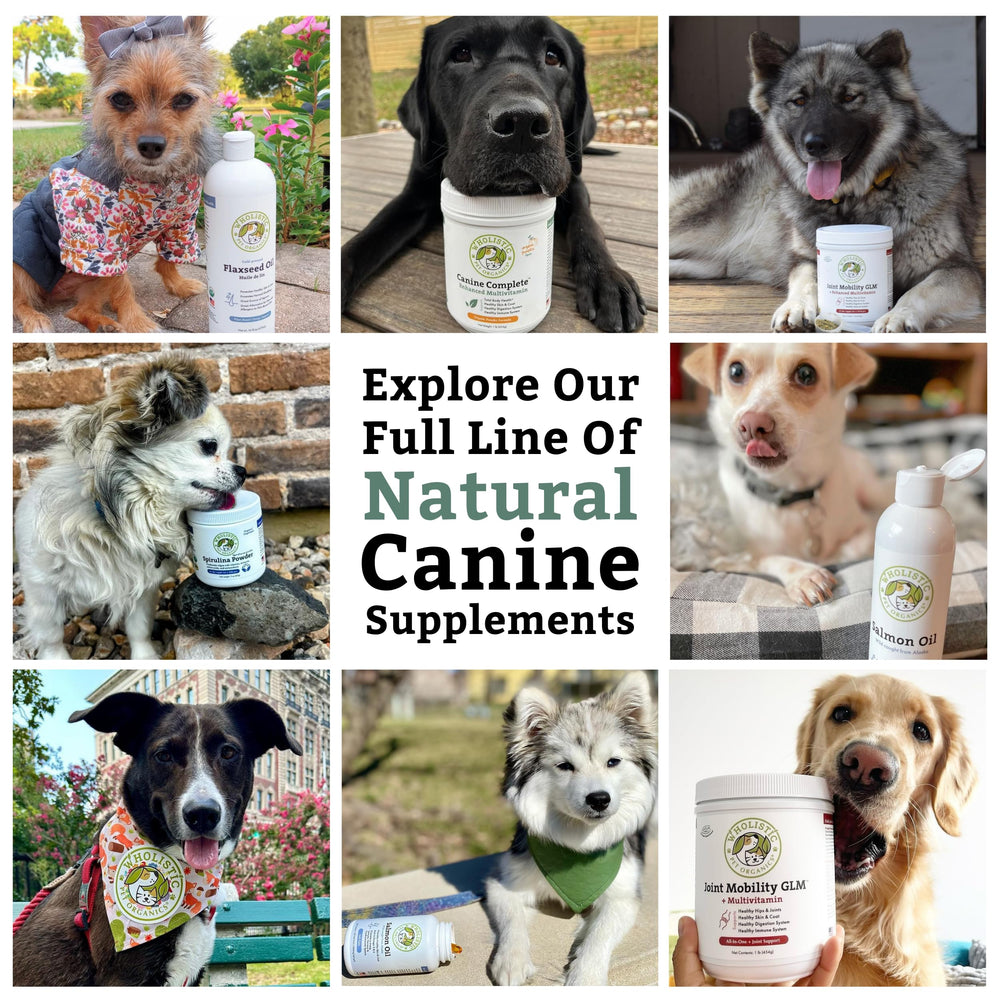 Wholistic Pet Organics 45-scoop jar ready for routine use.