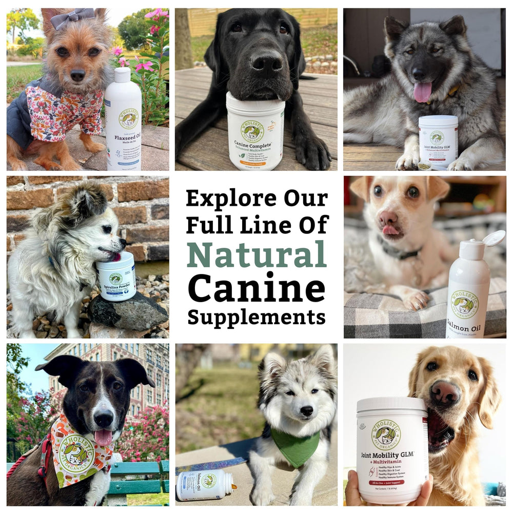 Wholistic Pet Organics Canine Complete complements homemade diets with a trusted daily boost