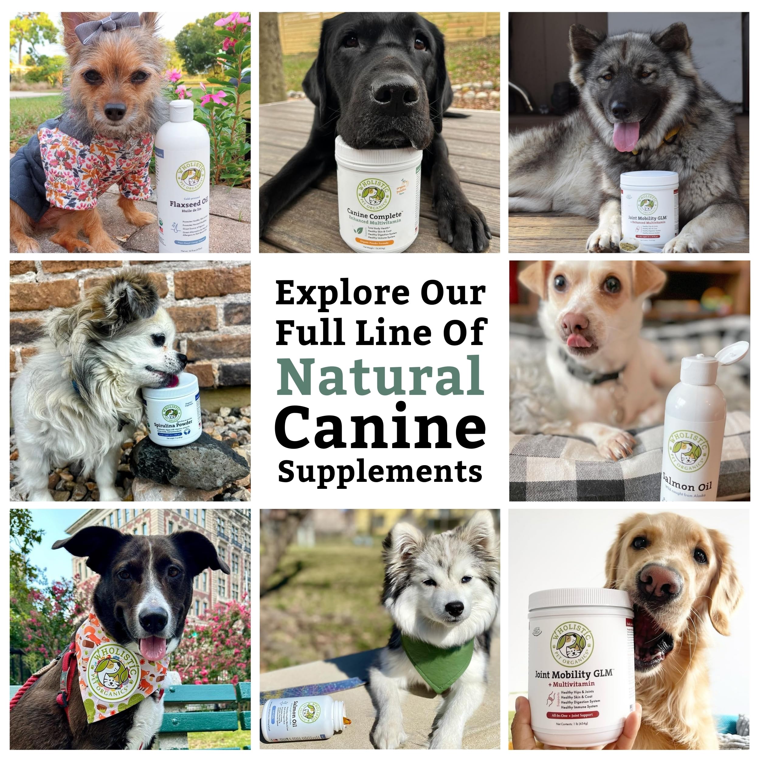Wholistic Pet Organics Canine Complete packaging illustrates 180 scoops for daily use