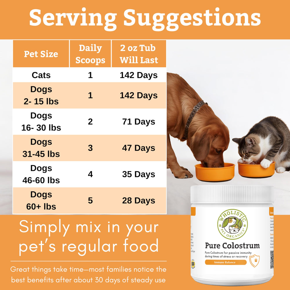 Wholistic Pet Organics cat immune support powder for balance.