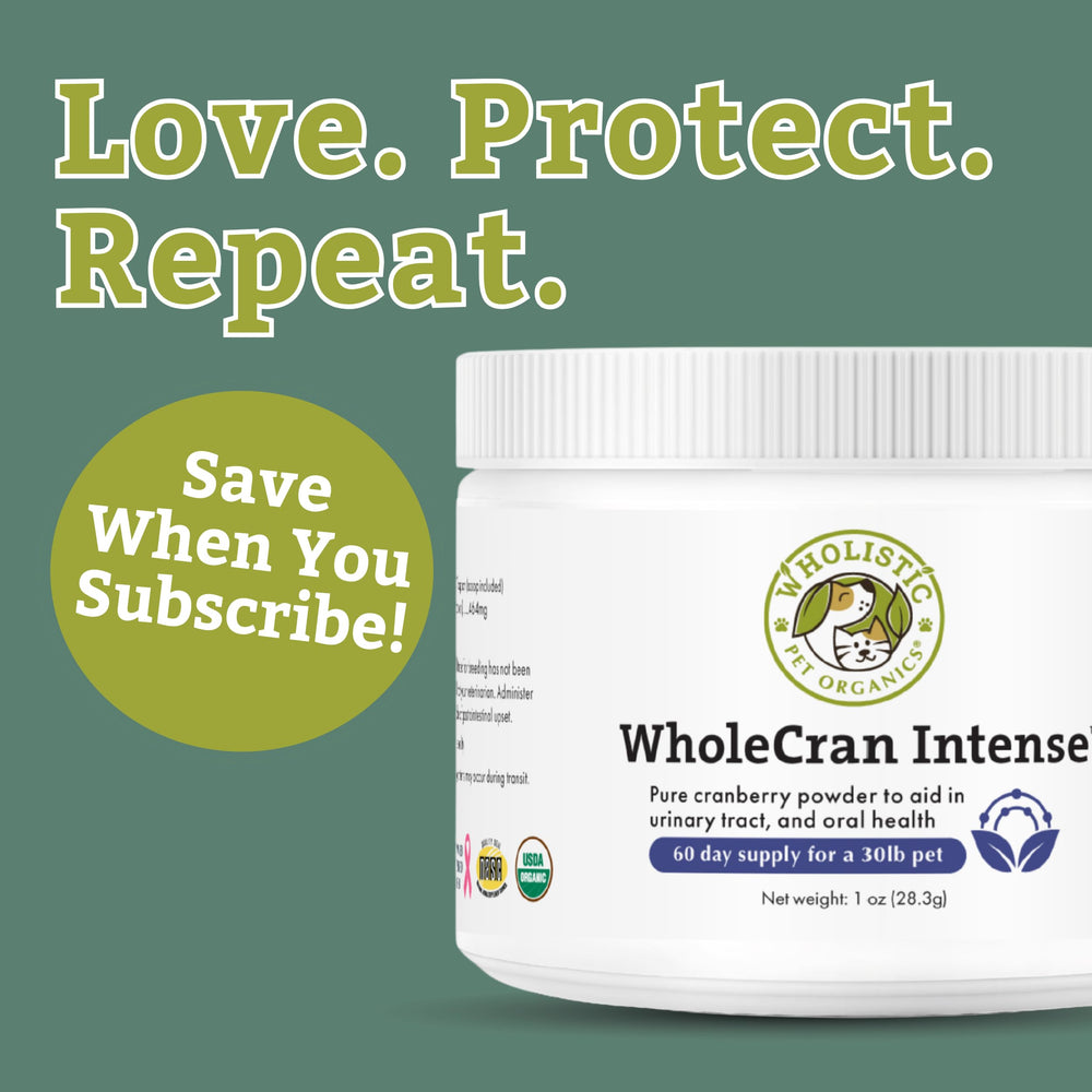 Wholistic Pet Organics Cranberry 60-scoop pack supports ongoing daily use.