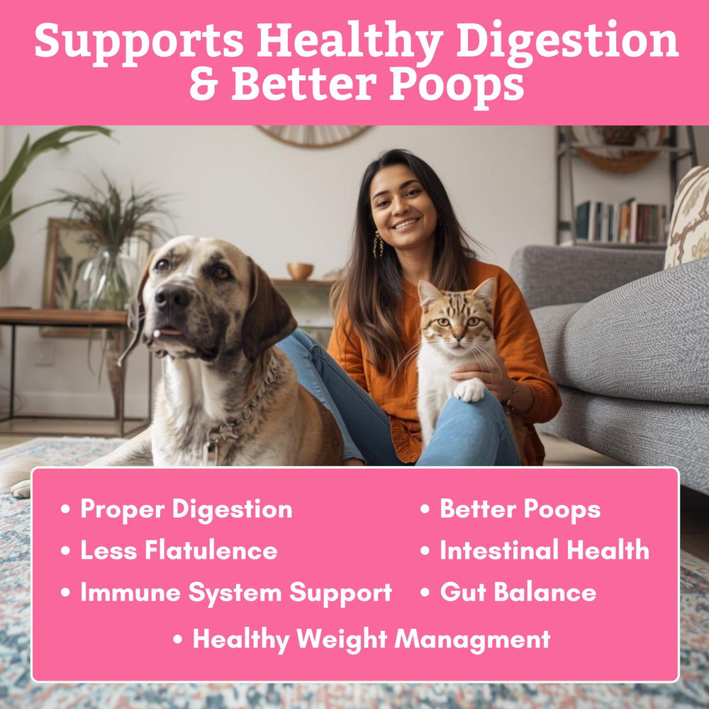 Wholistic Pet Organics cat probiotics scoop for simple daily use