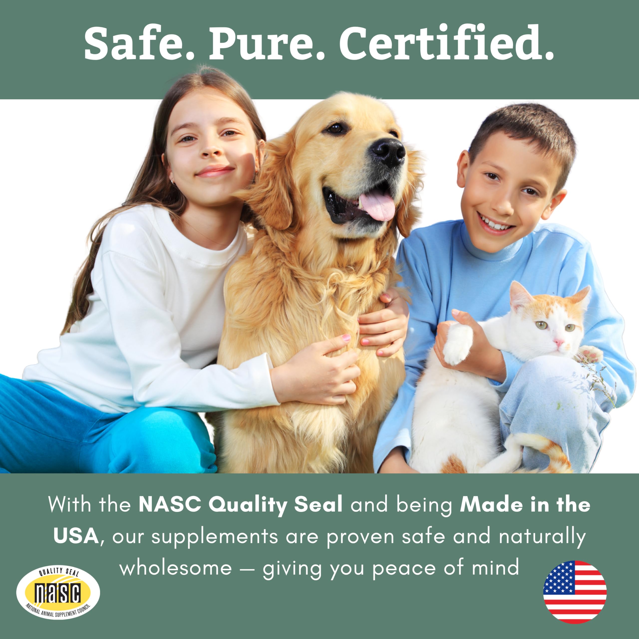 Wholistic Pet Organics DE powder no-fillers claim visual.