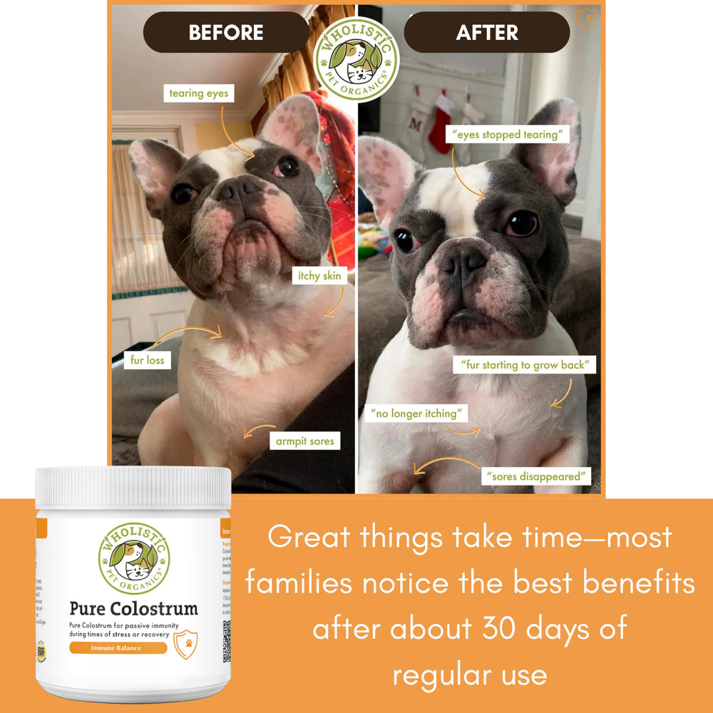 Wholistic Pet Organics dog immune support powder for vitality.