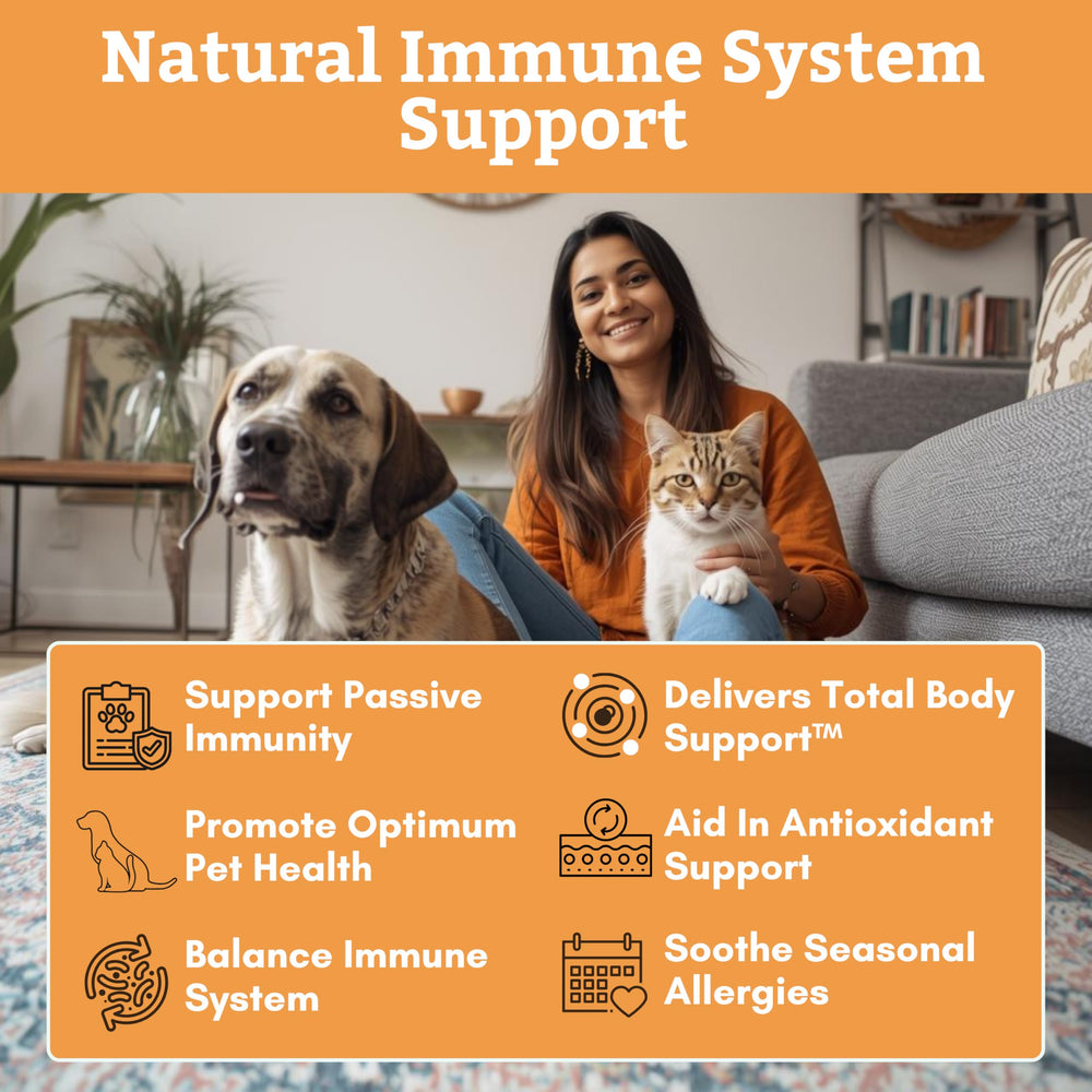 Adding the powder to cat meals for immune comfort.