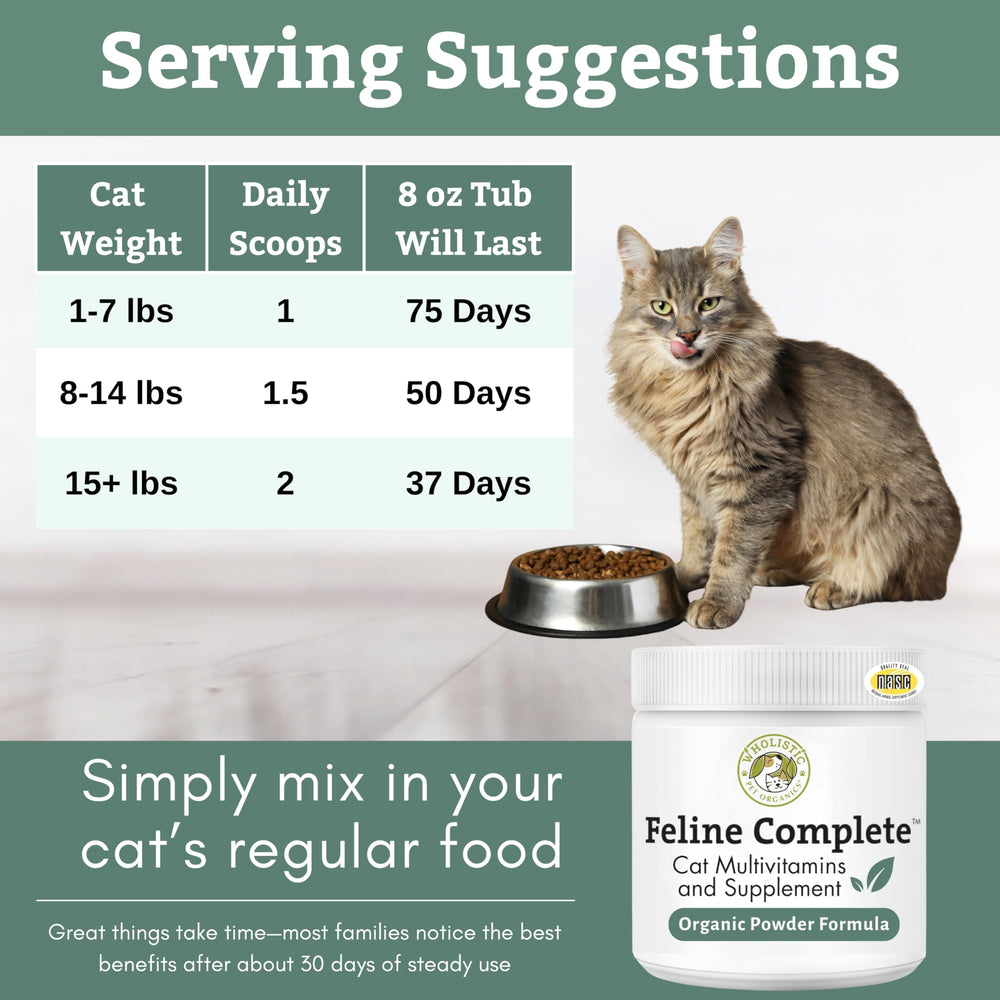 Wholistic Pet Organics Feline Complete measured jar on kitchen counter