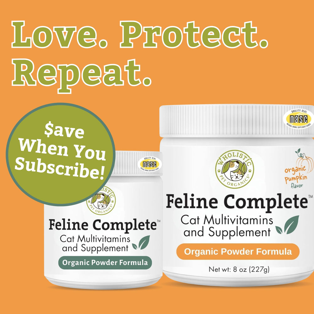Wholistic Pet Organics Feline Complete Organic Pumpkin organic ingredients for vitality