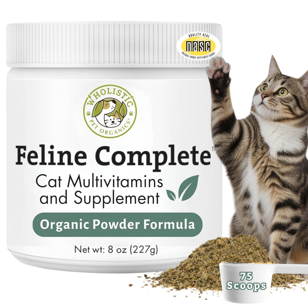 Wholistic Pet Organics Feline Complete powder in a jar supports digestion and overall wellness