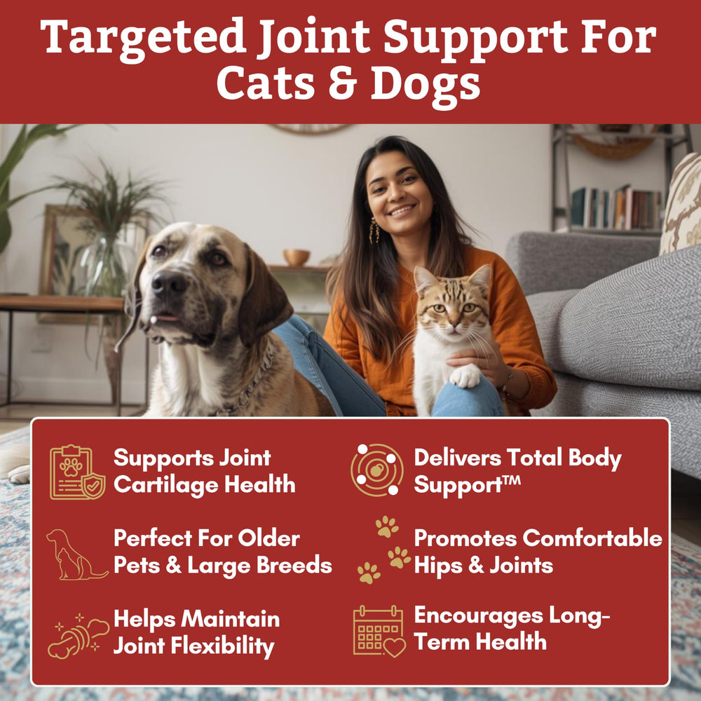 Wholistic Pet Organics Glucosamine Chondroitin MSM powder for joint health.