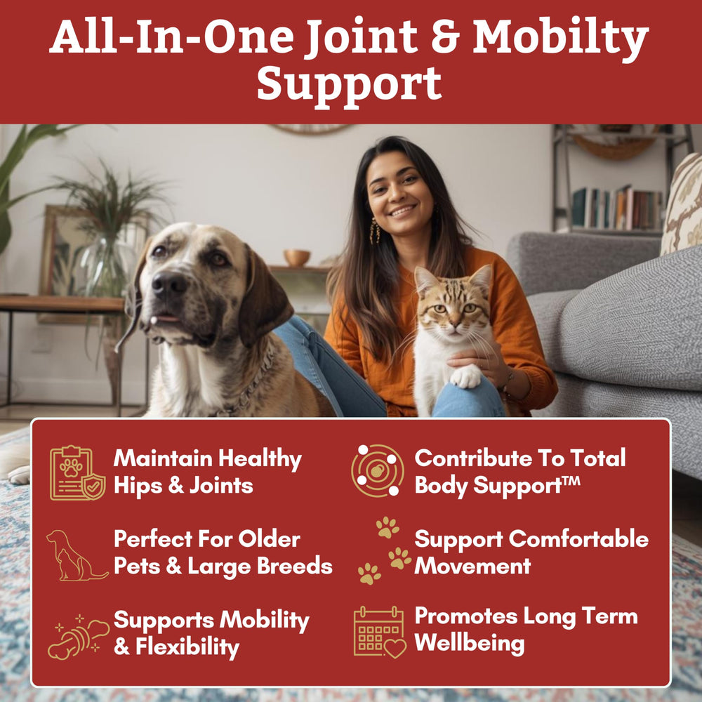 Wholistic Pet Organics green-lipped mussel ingredients for joint comfort