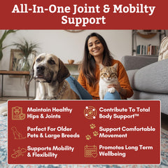 Wholistic Pet Organics green-lipped mussel ingredients for joint comfort