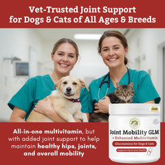 Wholistic Pet Organics green-lipped mussels powder for natural joint support.