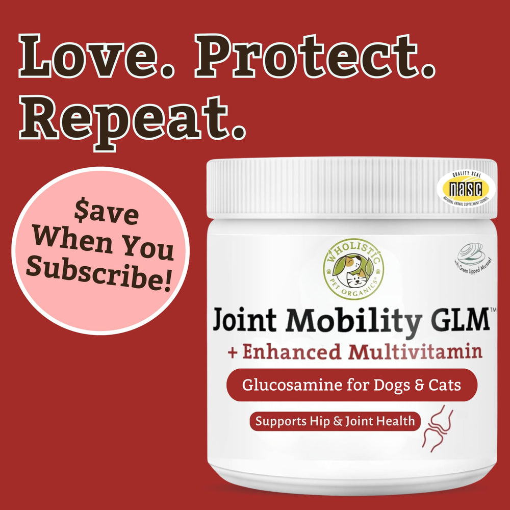 Wholistic Pet Organics dog-paw ready for active play with joint support