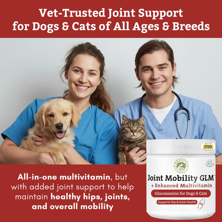 Wholistic Pet Organics powder-dish shows powder blends easily with meals for joint support