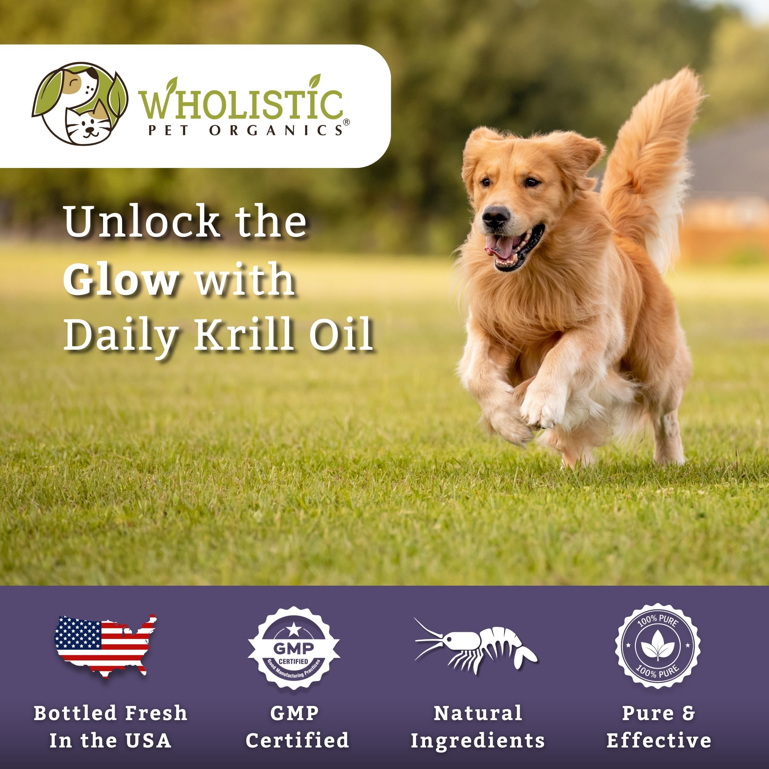 Wholistic Pet Organics Krill Oil American-made badge highlights quality and safety.