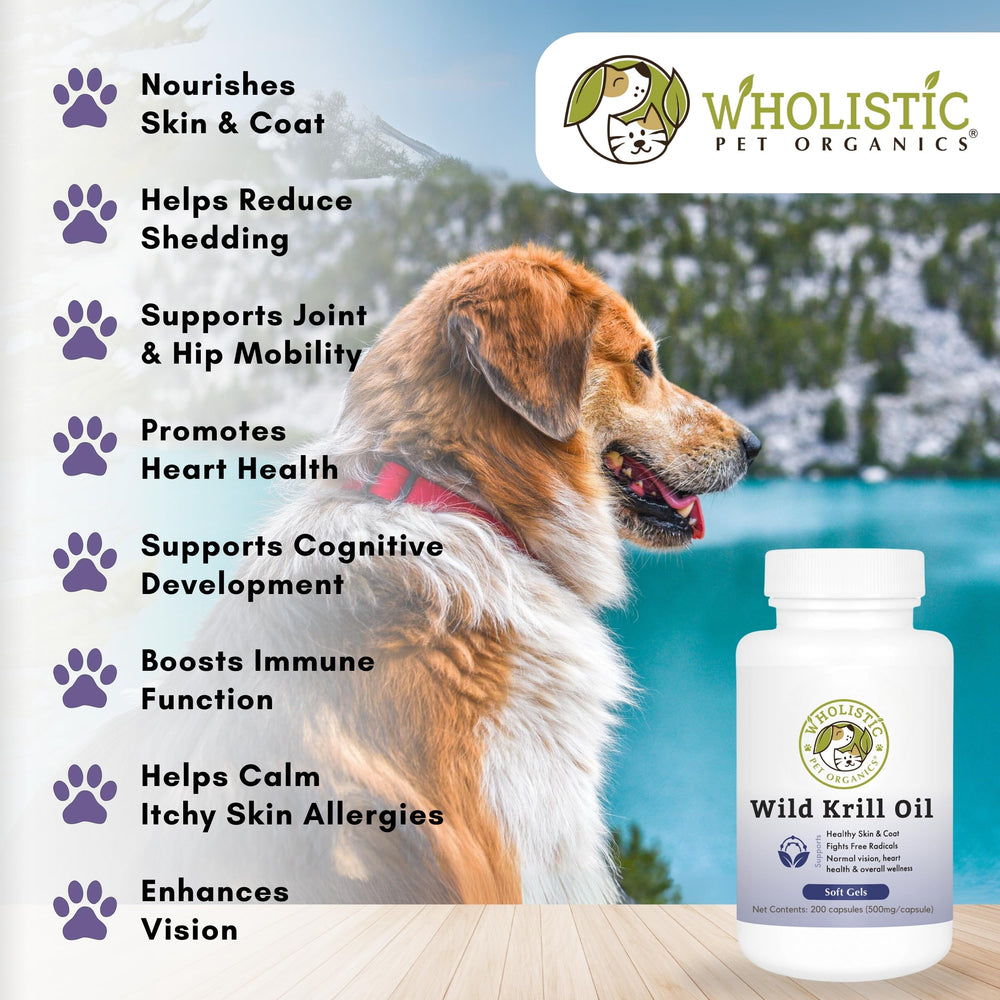 Wholistic Pet Organics Krill Oil on irritated skin area suggests relief from dryness.