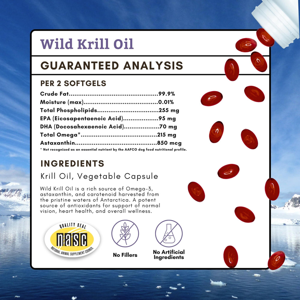 Wholistic Pet Organics Krill Oil coat shine close-up demonstrates a glossy, healthy-looking coat.