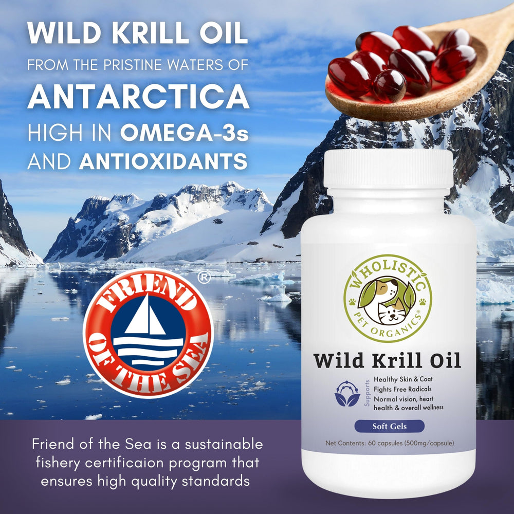 Wholistic Pet Organics Krill Oil on food topping shows easy integration into meals.
