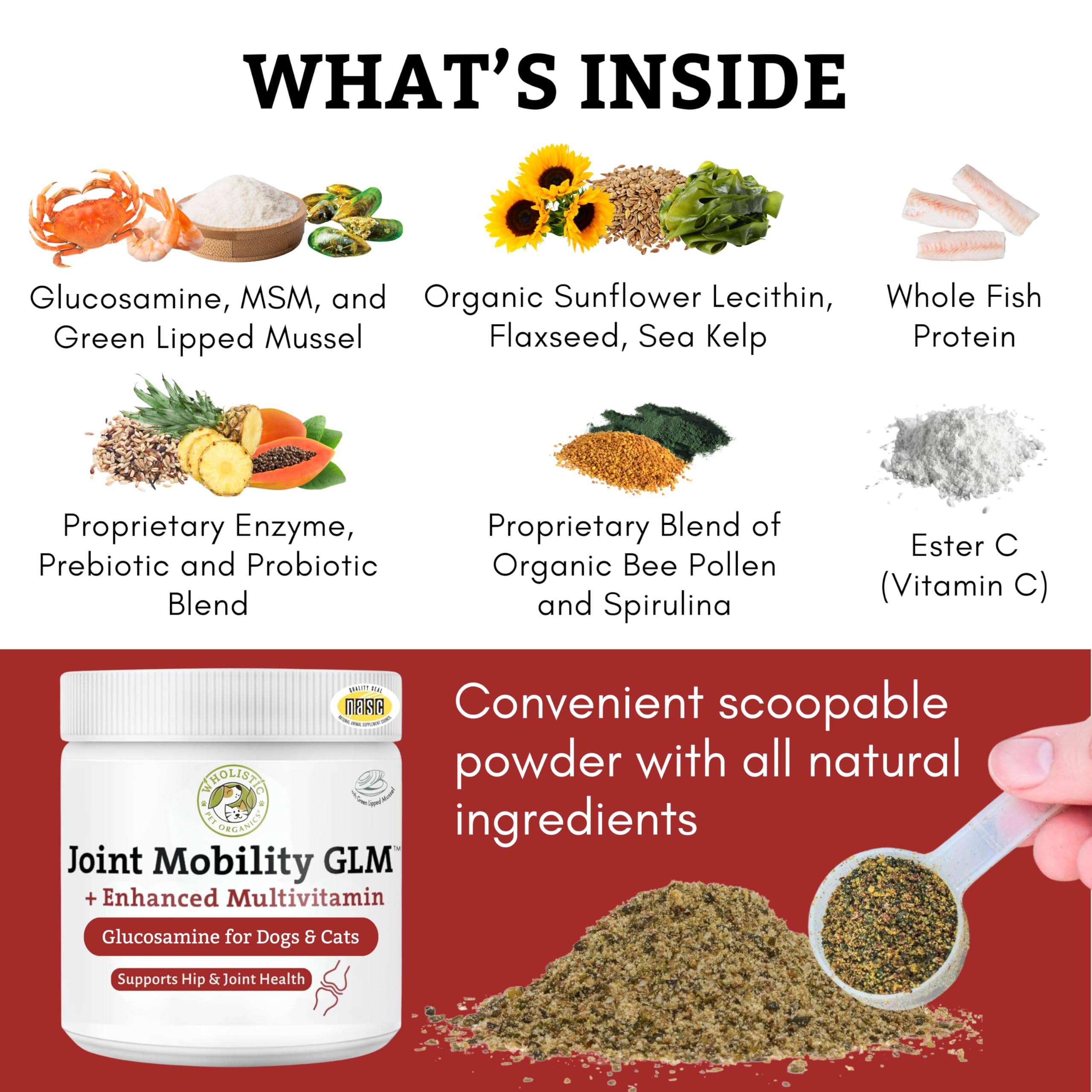 Wholistic Pet Organics powder dissolving in food for easy dosing