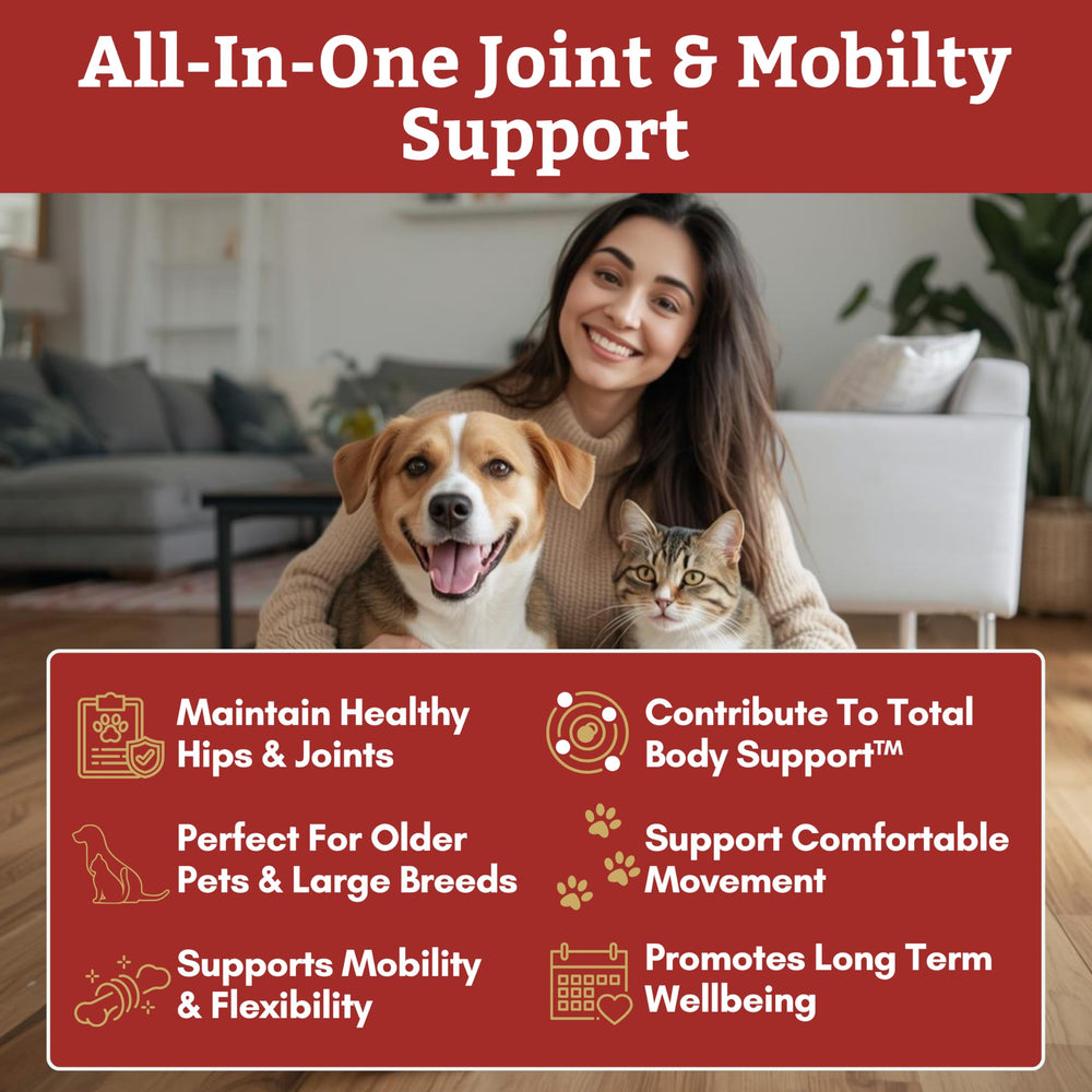 Wholistic Pet Organics powder being added to dog food for easy use.