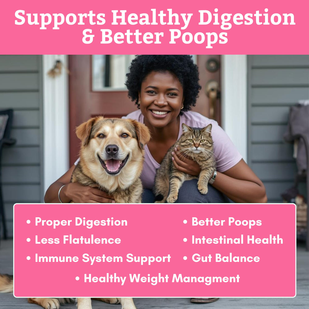 Wholistic Pet Organics prebiotic fiber dog cat powder promotes healthy gut.