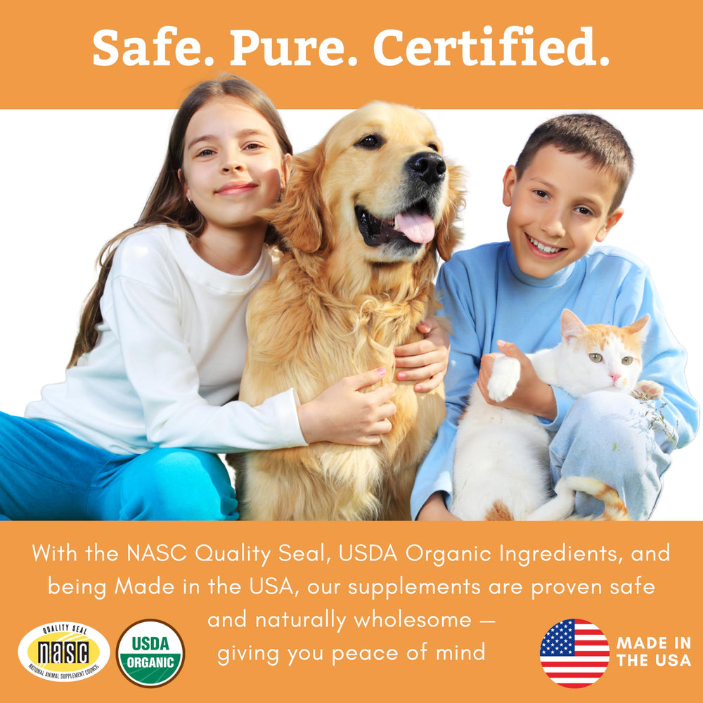 Wholistic Pet Organics Puppy Complete promotes healthy skin and coat