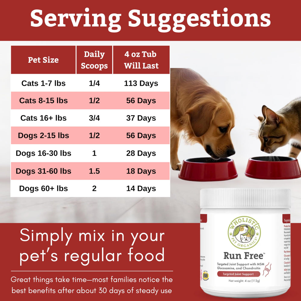 Wholistic Pet Organics Senior cat mobility support.
