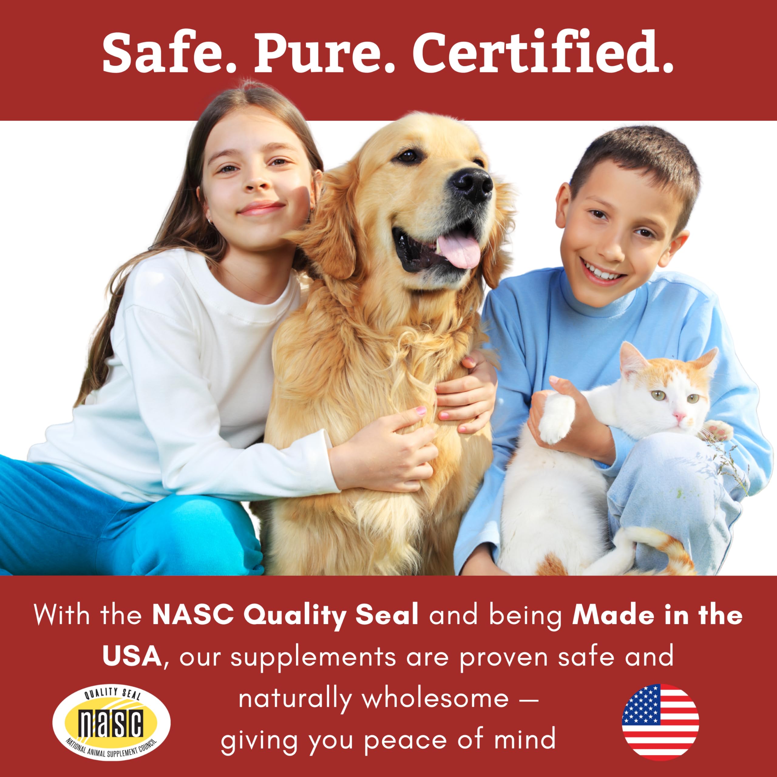Wholistic Pet Organics Senior dog mobility support.