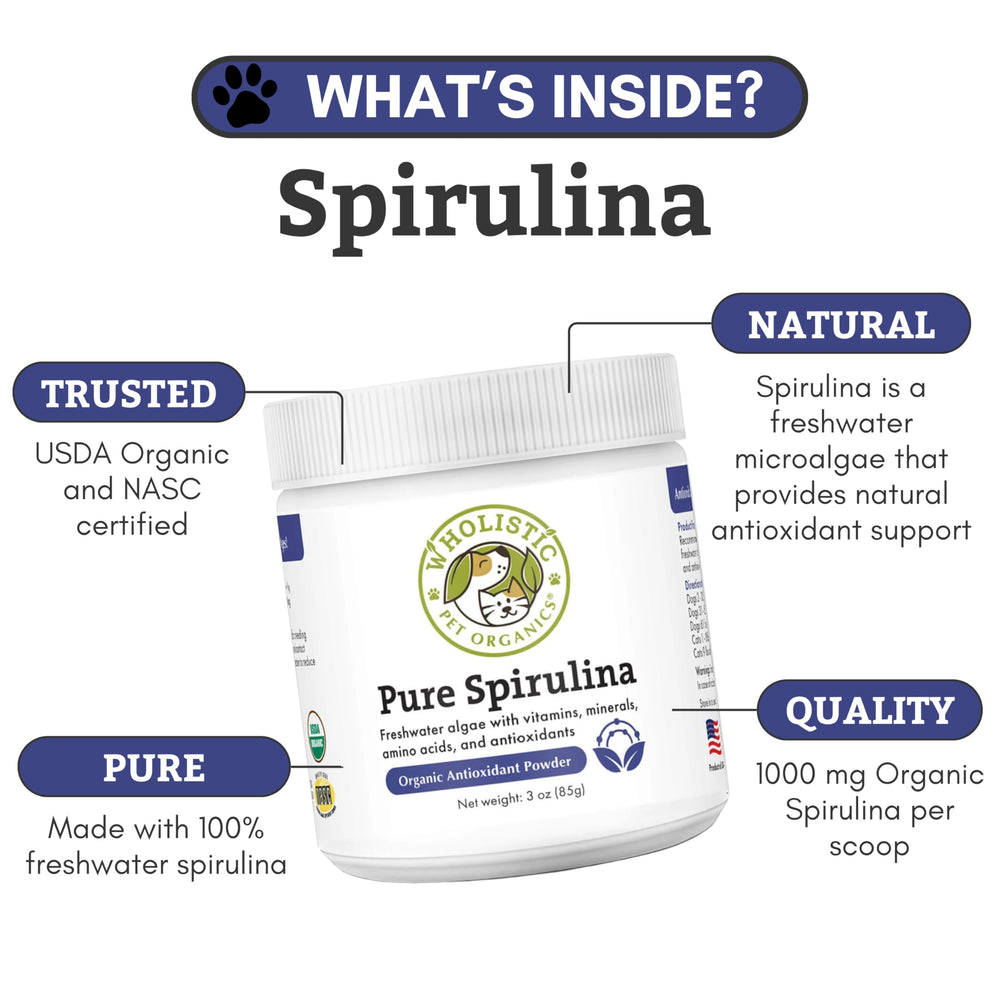 Wholistic Pet Organics spirulina powder beside dog and cat meals for daily nutrition.