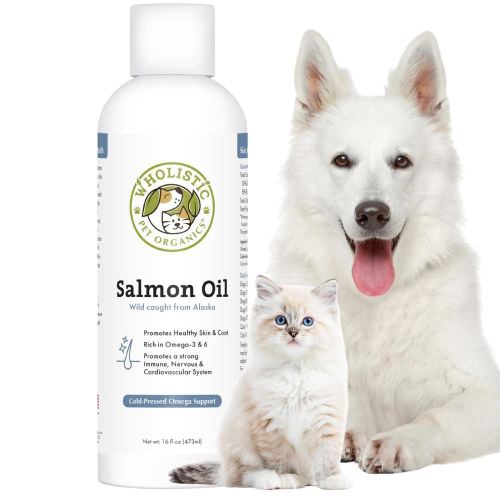 Wholistic Pet Organics salmon oil bottle highlighting omega-3 support for coats