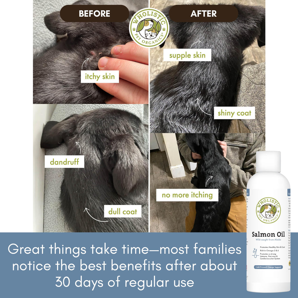 Wholistic Pet Organics salmon oil bottle with coat glow