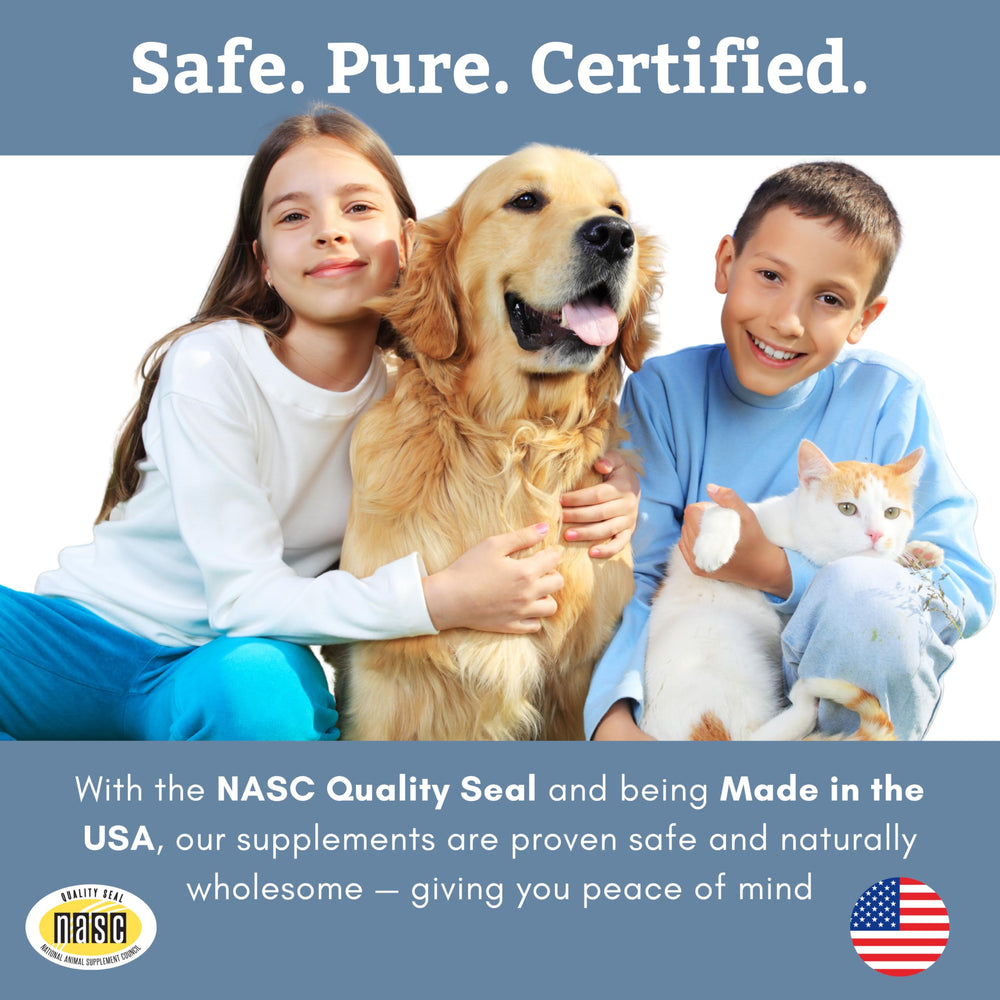 Wholistic Pet Organics salmon oil shown with dogs and cats