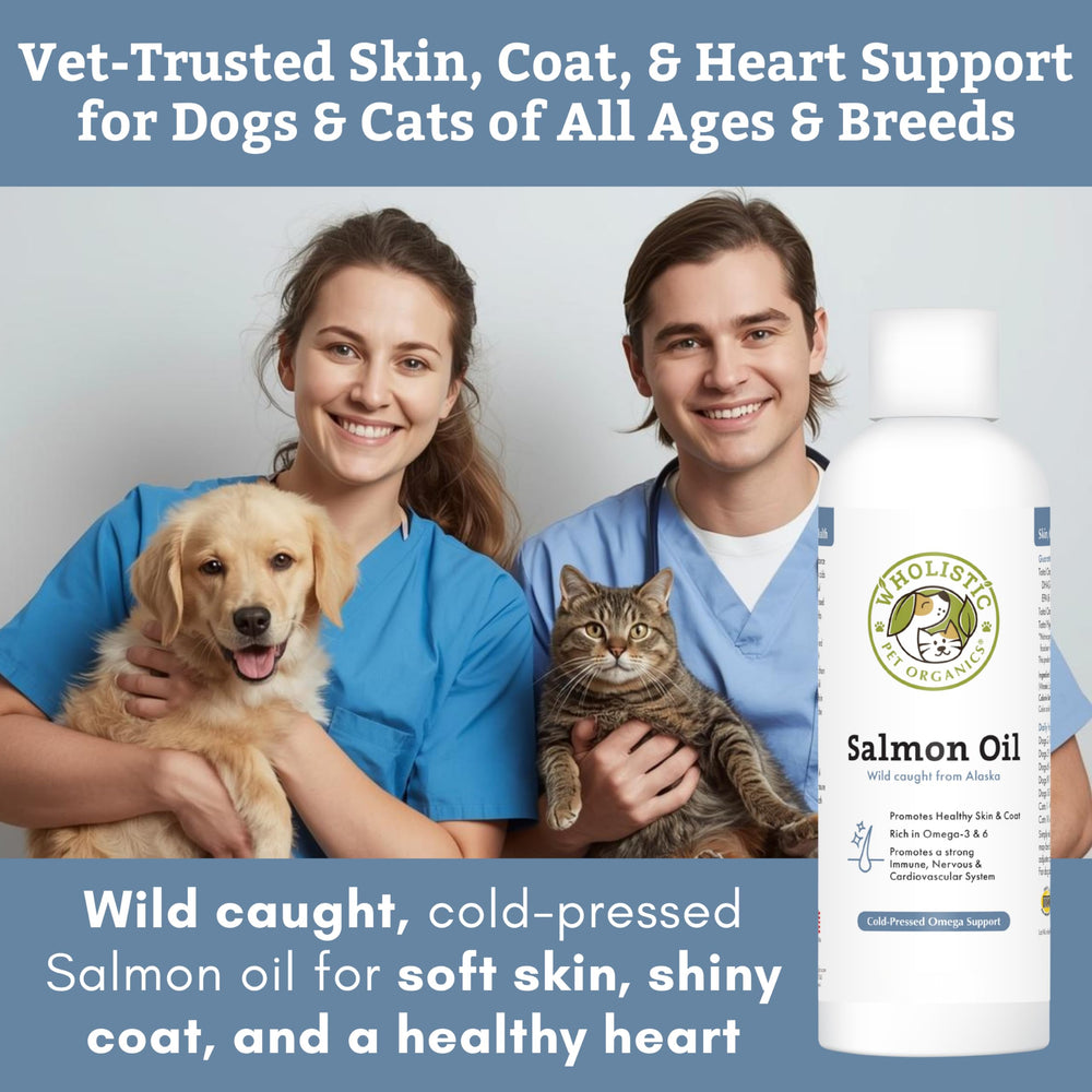 Wholistic Pet Organics salmon oil heart-health focus in a bowl