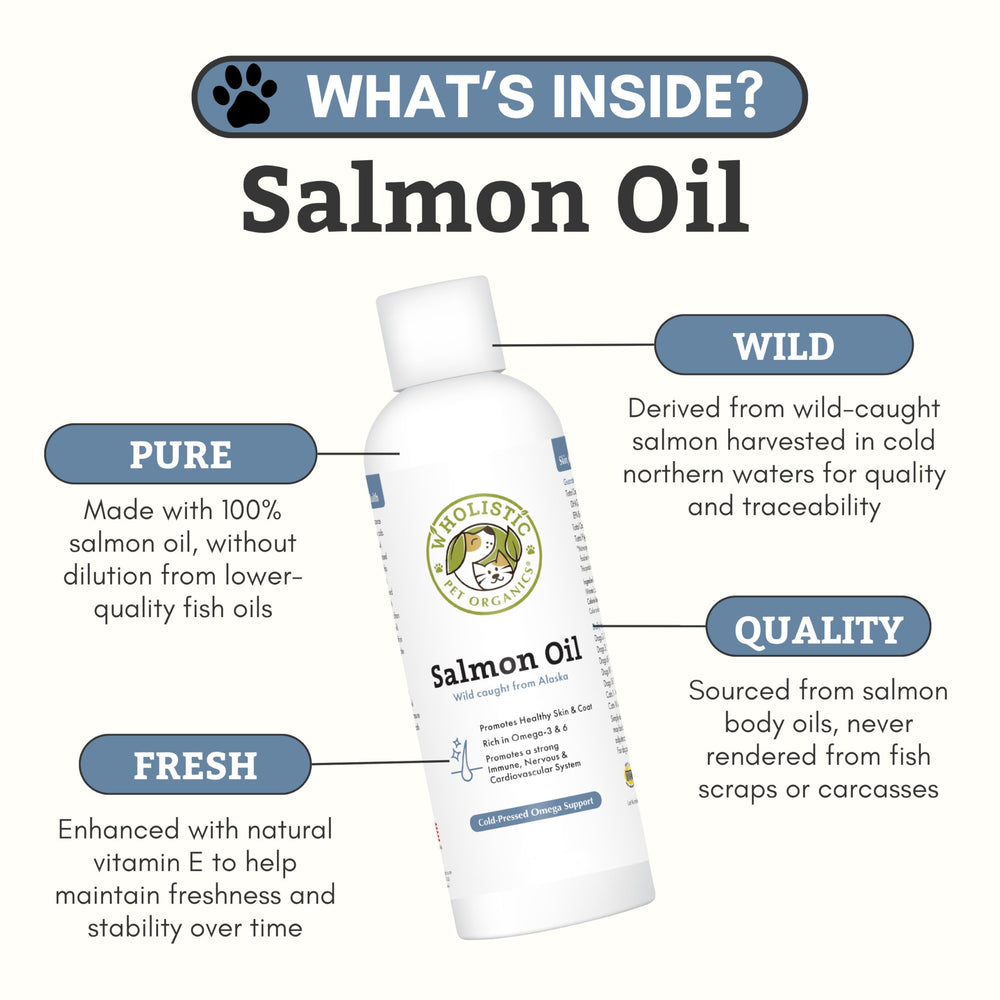 Wholistic Pet Organics salmon oil close-up on ingredients for DHA and EPA