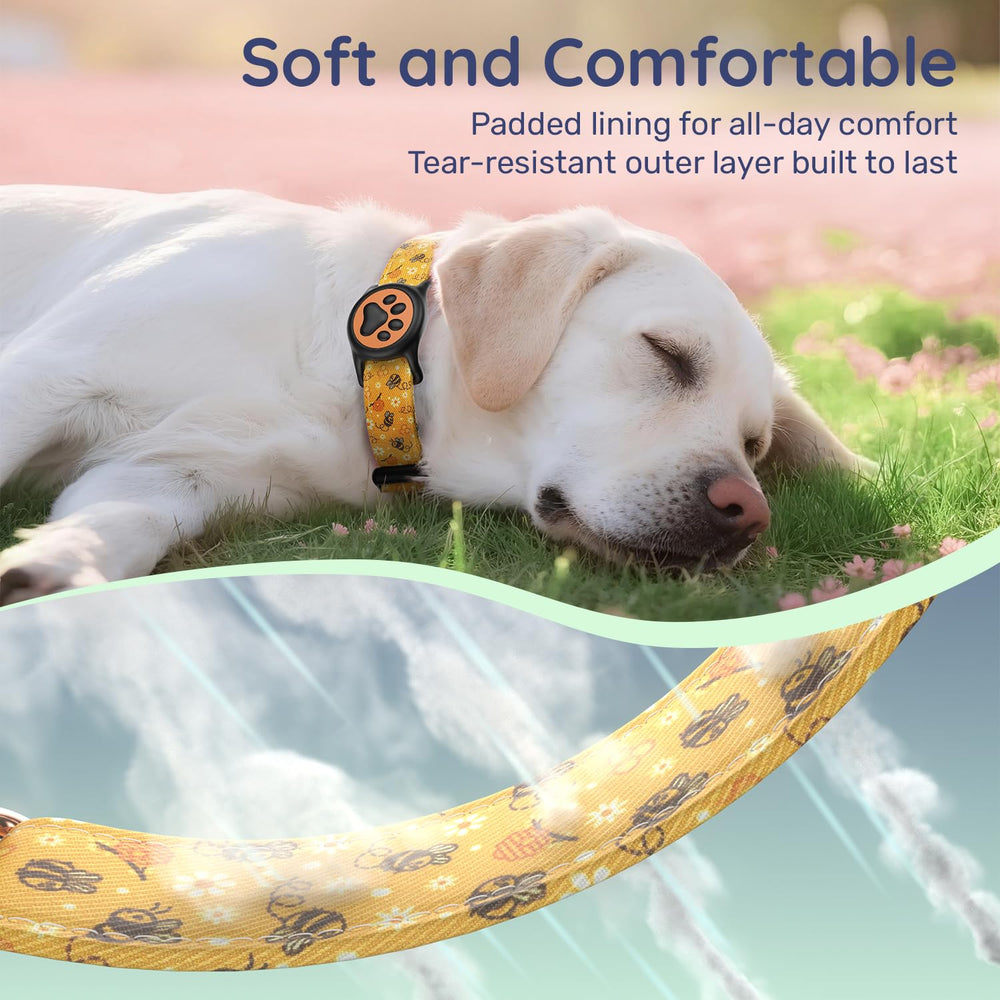WhoseID adjustable collars for small to large dogs ensure a comfortable fit.