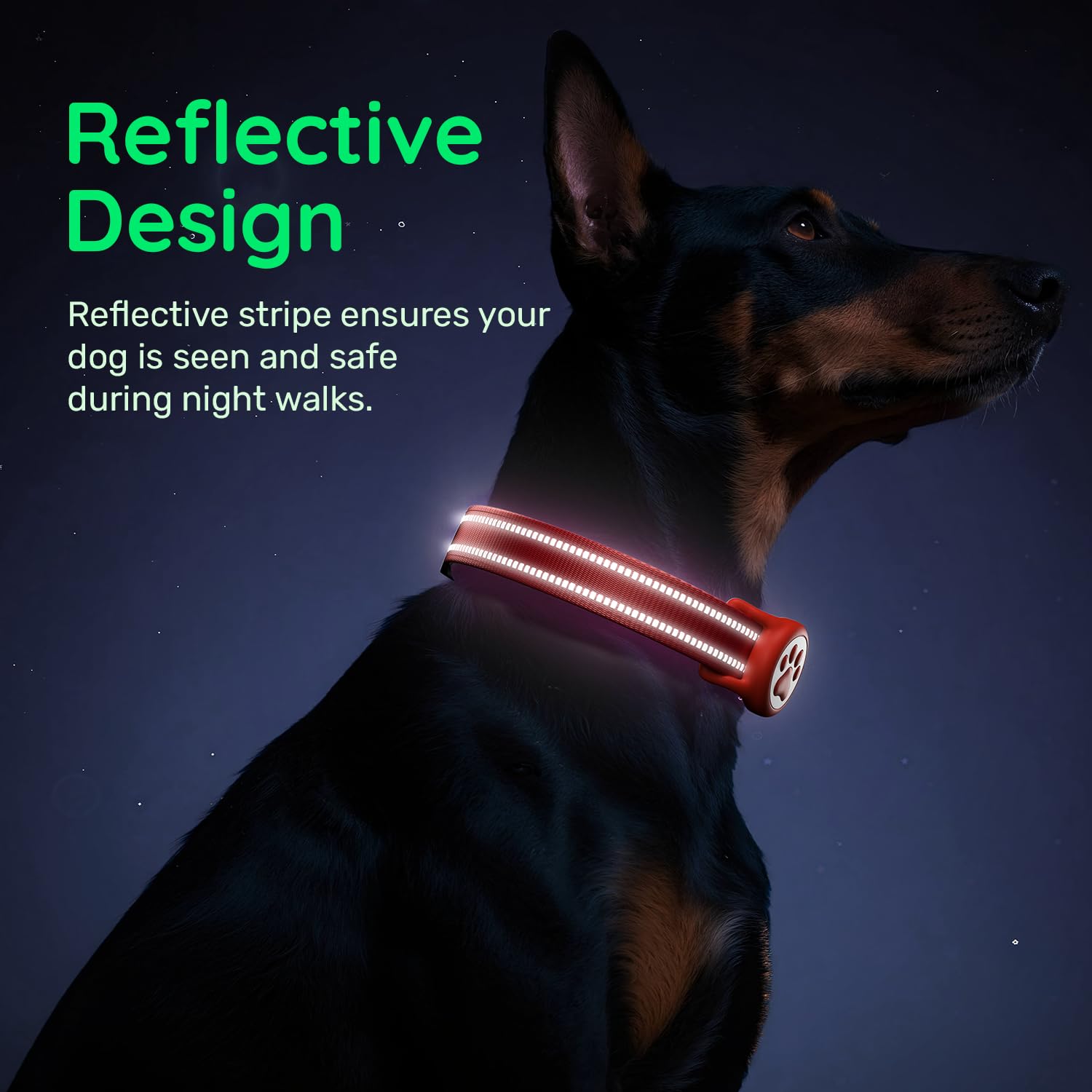 WhoseID Airtag dog collar D-ring for secure leash attachment