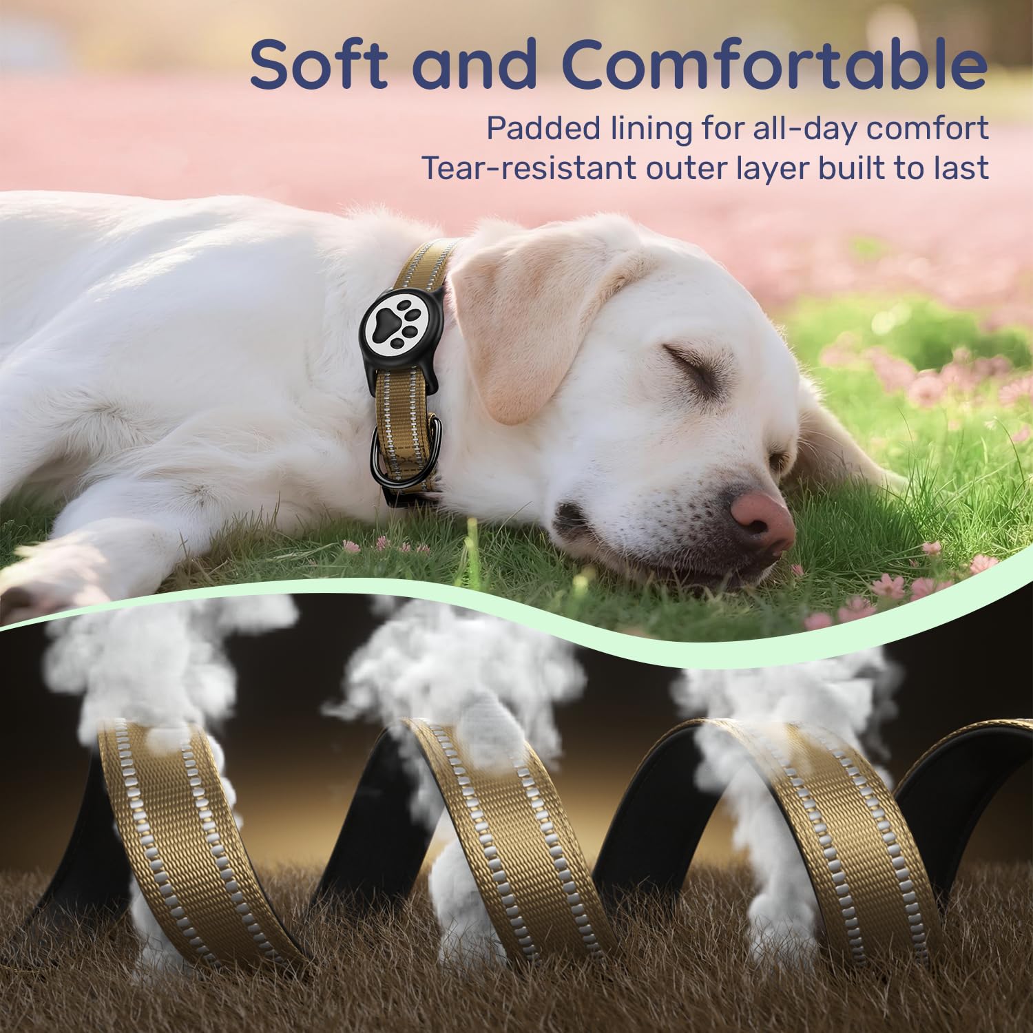 WhoseID D-ring leash attachment for easy leash connection