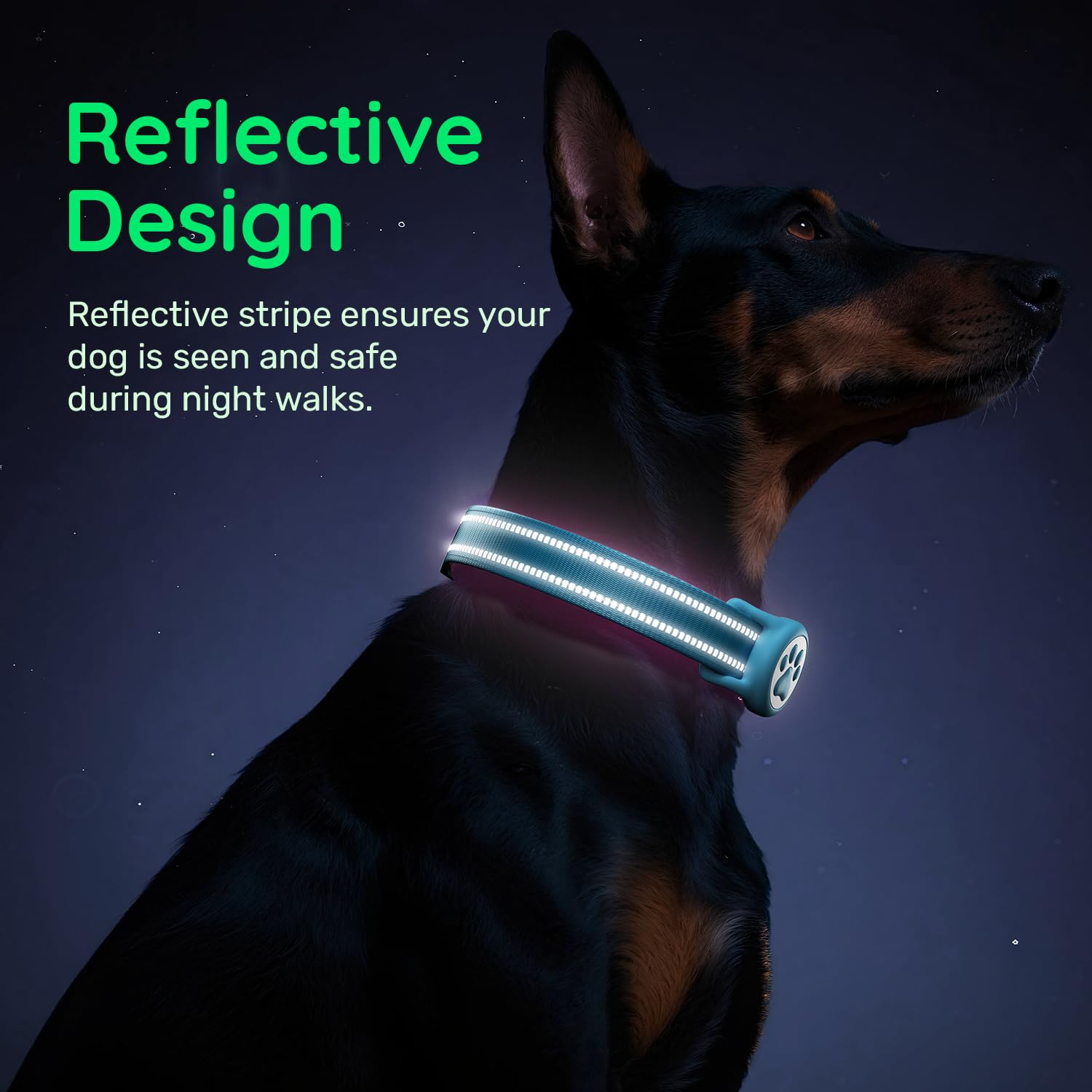 WhoseID Airtag collar with D-ring for leash attachment