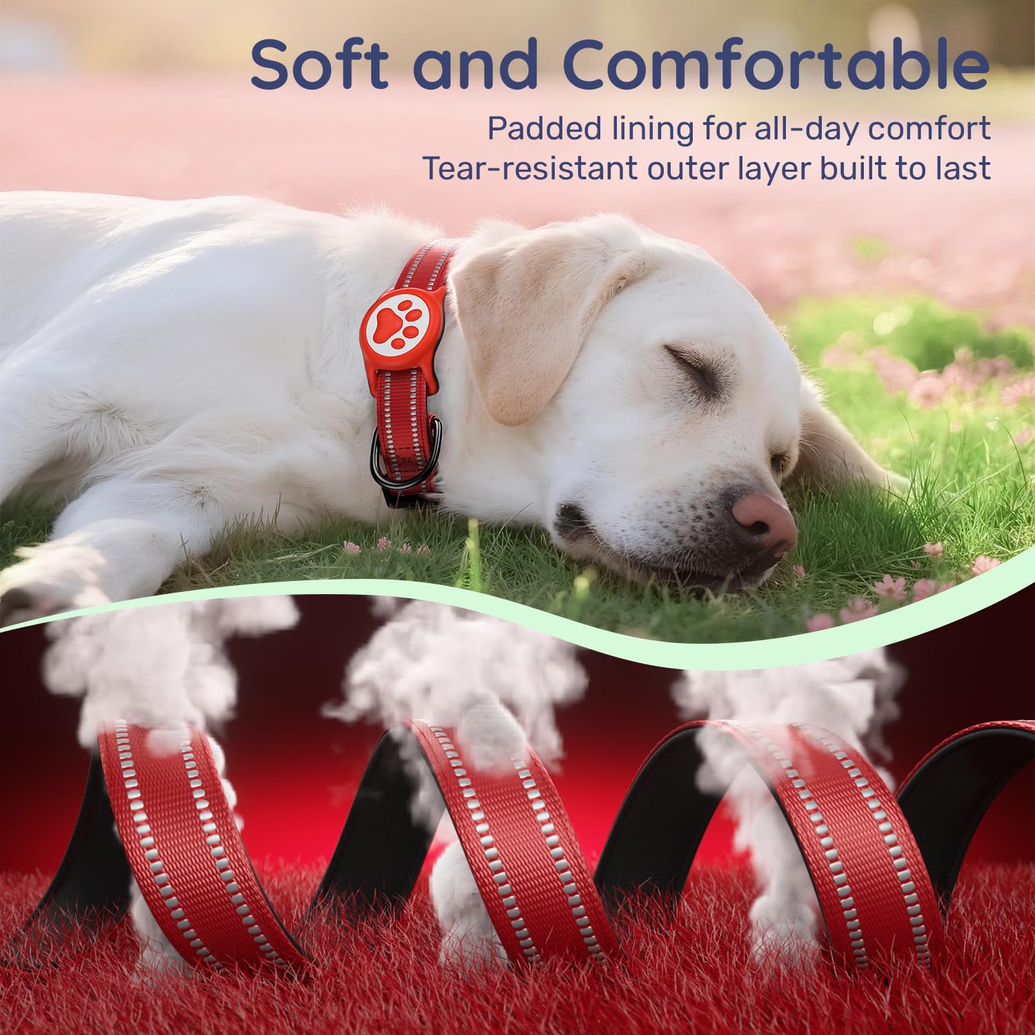 WhoseID Airtag dog collar neoprene padding for comfortable wear