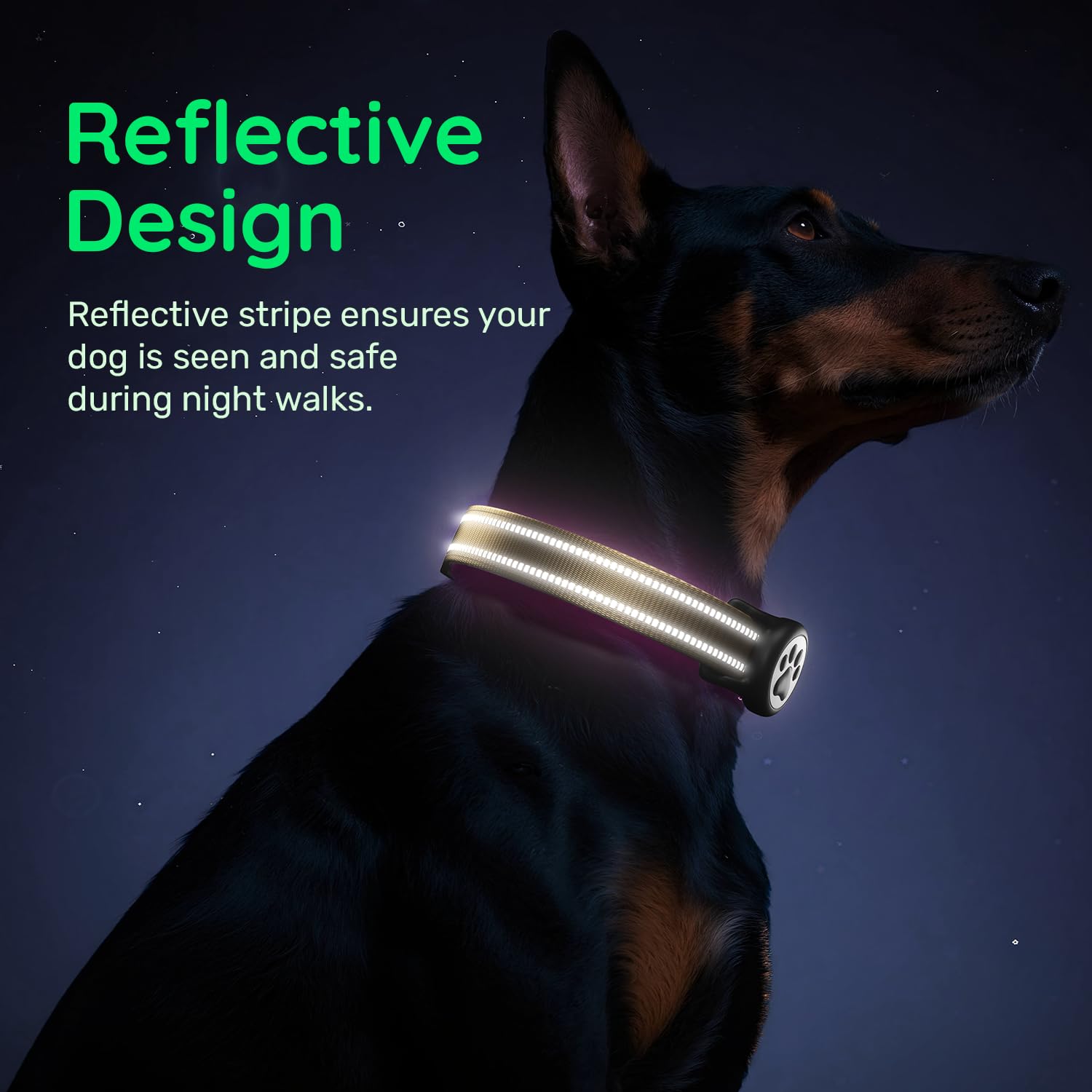 WhoseID safety locking buckle keeps the collar secure during play